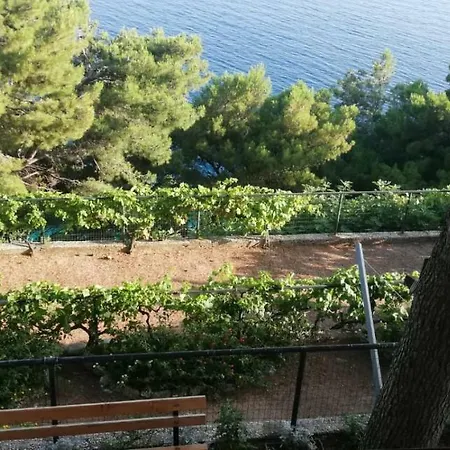 Lucic, Marusici *